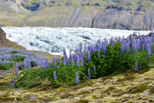 iceland-0091.jpg