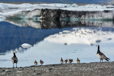 iceland-0149.jpg